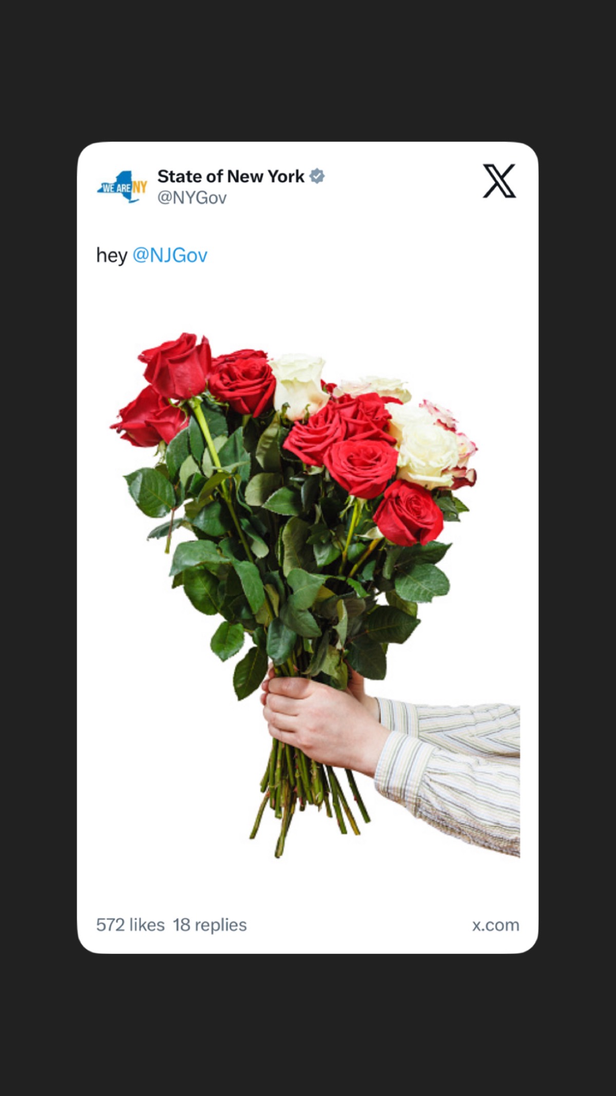 download 6 4 — local Codex photo